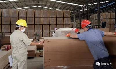 壽鄉(xiāng)浦北 木材產業(yè)煥發(fā)新活力