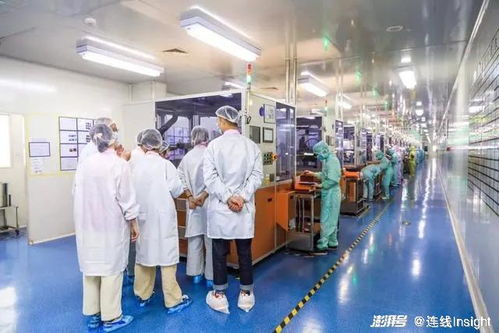業績向好，股價卻下跌 新消費‘第一股’們怎么了？
